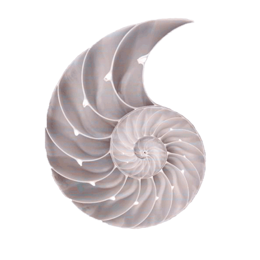 Phụ Tùng Huy Khang